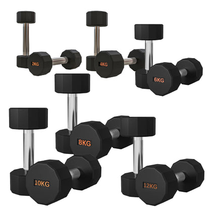 Rubber Coated Round Hex Dumbbell – Anti‑Roll Design, Knurled Grip Strength Training Dumbbells for Home Gym